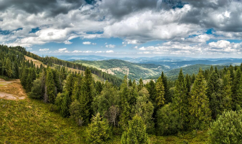 Explore the serene mountain forest landscape of Jezersko, Slovakia, capturing nature's beauty.